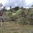  Land for sale in San Vicente, Antioquia, San Vicente