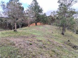  Land for sale in San Vicente, Antioquia, San Vicente