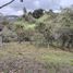  Land for sale in San Vicente, Antioquia, San Vicente