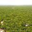  Terreno (Parcela) en venta en Cozumel, Quintana Roo, Cozumel