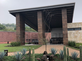  토지을(를) Irapuato, 구아나후토에서 판매합니다., Irapuato