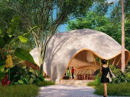  Grundstück zu verkaufen in Cozumel, Quintana Roo, Cozumel