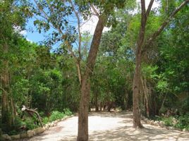  Grundstück zu verkaufen in Cozumel, Quintana Roo, Cozumel