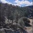  Land for sale in San Dimas, Durango, San Dimas
