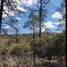  Land for sale in San Dimas, Durango, San Dimas