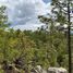  Land for sale in San Dimas, Durango, San Dimas