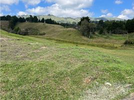  Land for sale in Rionegro, Antioquia, Rionegro