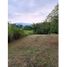  Land for sale in La Mesa, Cundinamarca, La Mesa