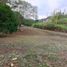  Land for sale in La Mesa, Cundinamarca, La Mesa