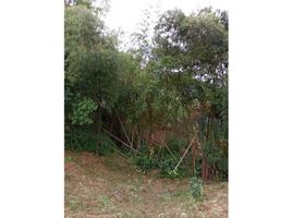  Land for sale in La Mesa, Cundinamarca, La Mesa