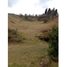  Land for sale in Guarne, Antioquia, Guarne