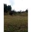  Land for sale in Guarne, Antioquia, Guarne