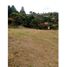  Land for sale in Guarne, Antioquia, Guarne