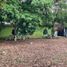  Land for rent in Tuxpan, Veracruz, Tuxpan