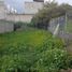  Terreno (Parcela) en venta en Temixco, Morelos, Temixco