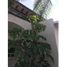 3 Habitación Casa en venta en Ocoyucan, Puebla, Ocoyucan