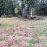  Terrain for sale in Villarrica, Cautin, Villarrica