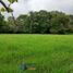 Studio House for sale in Boqueron, Chiriqui, Boqueron, Boqueron