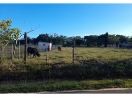  Terreno (Parcela) en venta en Parita, Parita, Parita