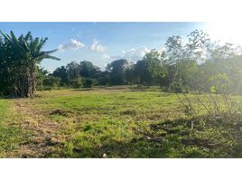  Land for sale in Chiriqui, San Carlos, David, Chiriqui