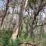  Land for sale in Jacala De Ledezma, Hidalgo, Jacala De Ledezma, Hidalgo