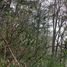  Land for sale in Jacala De Ledezma, Hidalgo, Jacala De Ledezma, Hidalgo