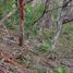  Land for sale in Jacala De Ledezma, Hidalgo, Jacala De Ledezma, Hidalgo