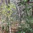 Land for sale in Jacala De Ledezma, Hidalgo, Jacala De Ledezma