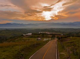  Terreno (Parcela) en venta en Pereira, Risaralda, Pereira