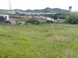  Terreno (Parcela) en venta en Dosquebradas, Risaralda, Dosquebradas