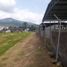  Grundstück zu verkaufen in Uruapan, Michoacan, Uruapan