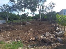  Grundstück zu verkaufen in Tixpehual, Yucatan, Tixpehual