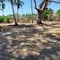  Terreno (Parcela) en venta en Acapulco, Guerrero, Acapulco, Guerrero
