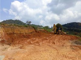  Terreno (Parcela) en venta en San Roque, Antioquia, San Roque