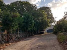  Grundstück zu verkaufen in Conkal, Yucatan, Conkal