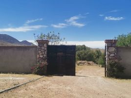  Land for sale in Asientos, Aguascalientes, Asientos