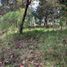  Land for sale in Teopisca, Chiapas, Teopisca