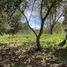  Land for sale in Teopisca, Chiapas, Teopisca