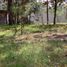  Land for sale in Teopisca, Chiapas, Teopisca
