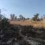  Land for rent in Tonala, Jalisco, Tonala