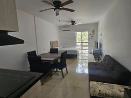 Appartement 1 chambre à louer à Cozumel, Quintana Roo, Cozumel