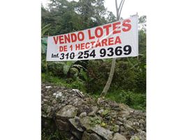 Studio House for sale in Colombia, San Antonio Del Tequendama, Cundinamarca, Colombia