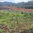  Land for sale in Envigado, Antioquia, Envigado