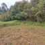  Land for sale in Envigado, Antioquia, Envigado