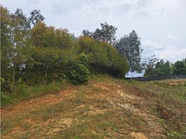  Land for sale in Envigado, Antioquia, Envigado