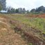  Land for sale in Envigado, Antioquia, Envigado