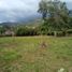  Land for sale in Santander, Piedecuesta, Santander