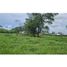  Land for sale in Chiriqui, Las Lomas, David, Chiriqui