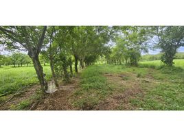  Land for sale in Chiriqui, Las Lomas, David, Chiriqui