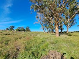  Land for sale in General Pueyrredon, Buenos Aires, General Pueyrredon